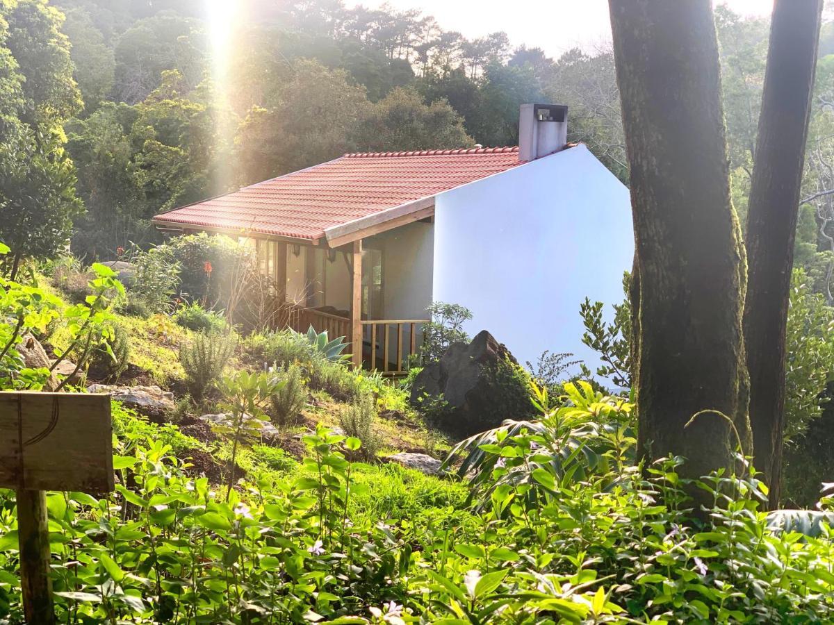 Eighteen21 Houses - Secluded Charm Cottage In Quinta Velha Sintra Eksteriør billede